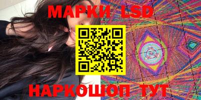 шишки Будённовск