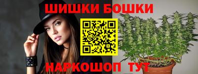 шишки Будённовск